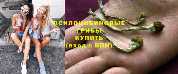 ГАЛЛЮЦИНОГЕННЫЕ ГРИБЫ Кинешма