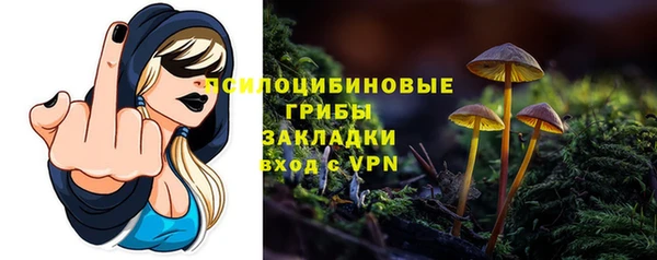 прущий лед Няндома